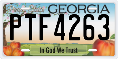GA license plate PTF4263