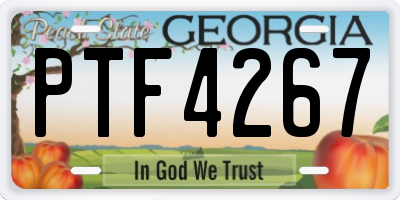 GA license plate PTF4267