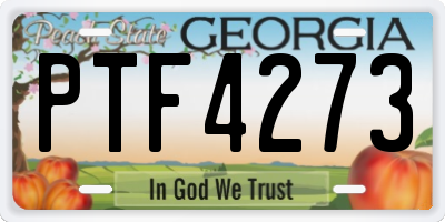 GA license plate PTF4273