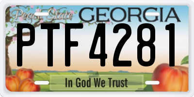 GA license plate PTF4281