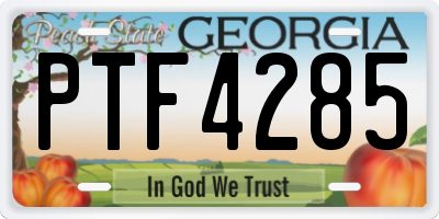 GA license plate PTF4285