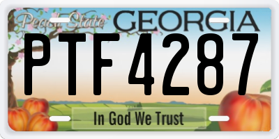 GA license plate PTF4287