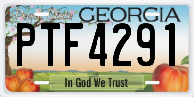 GA license plate PTF4291