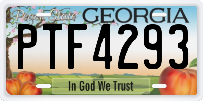 GA license plate PTF4293