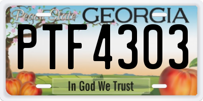 GA license plate PTF4303