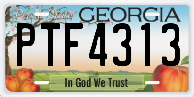 GA license plate PTF4313