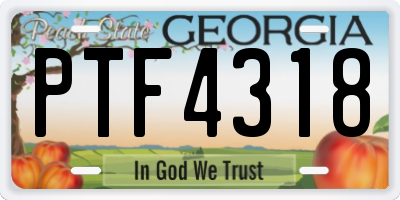 GA license plate PTF4318