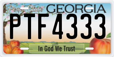 GA license plate PTF4333