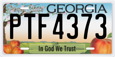 GA license plate PTF4373