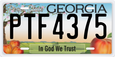 GA license plate PTF4375