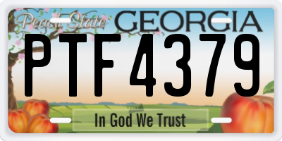 GA license plate PTF4379