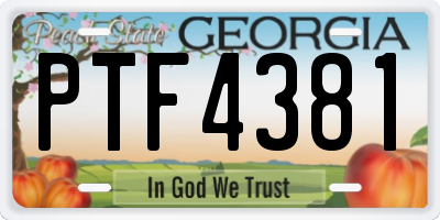 GA license plate PTF4381