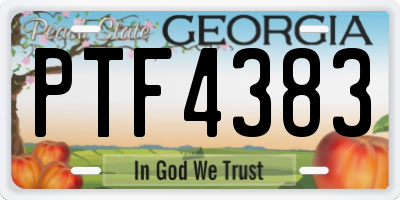 GA license plate PTF4383