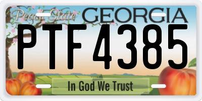 GA license plate PTF4385