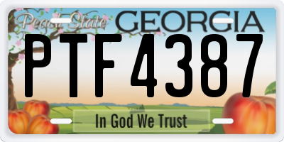 GA license plate PTF4387