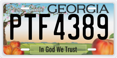 GA license plate PTF4389