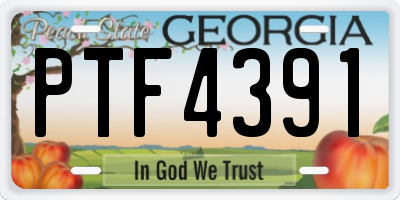 GA license plate PTF4391
