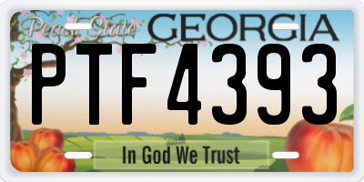 GA license plate PTF4393