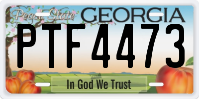 GA license plate PTF4473