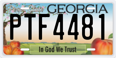 GA license plate PTF4481