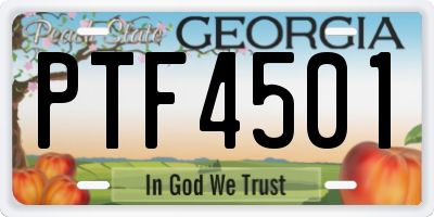 GA license plate PTF4501