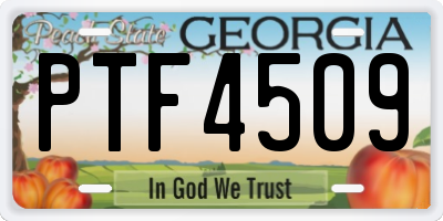 GA license plate PTF4509