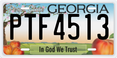 GA license plate PTF4513