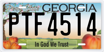 GA license plate PTF4514