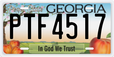 GA license plate PTF4517