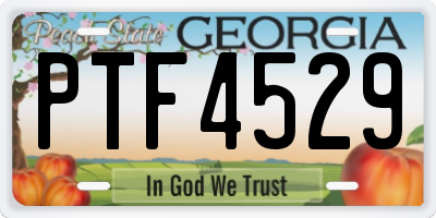GA license plate PTF4529