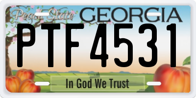 GA license plate PTF4531