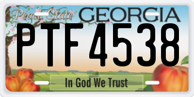 GA license plate PTF4538