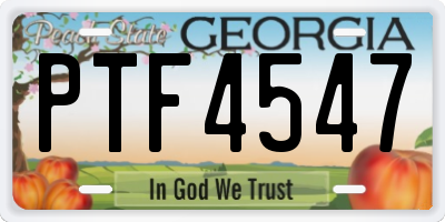 GA license plate PTF4547