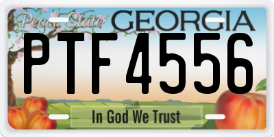 GA license plate PTF4556