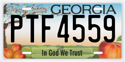 GA license plate PTF4559