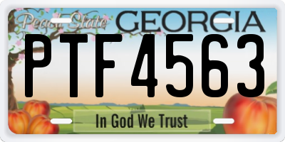 GA license plate PTF4563