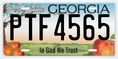 GA license plate PTF4565