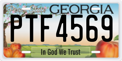 GA license plate PTF4569