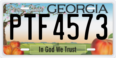 GA license plate PTF4573