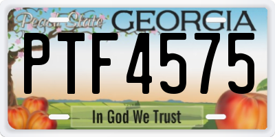 GA license plate PTF4575