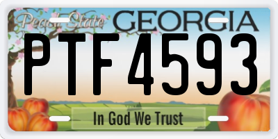 GA license plate PTF4593