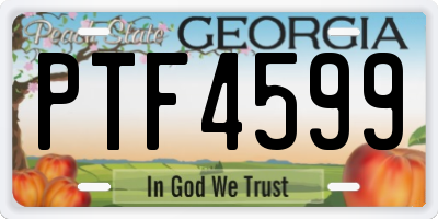GA license plate PTF4599