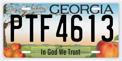 GA license plate PTF4613