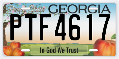 GA license plate PTF4617