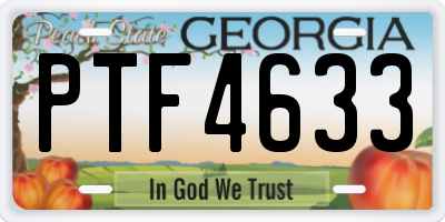 GA license plate PTF4633