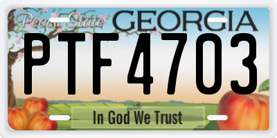 GA license plate PTF4703
