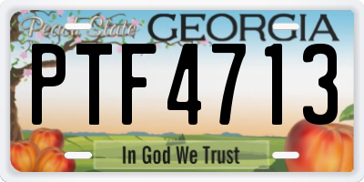 GA license plate PTF4713