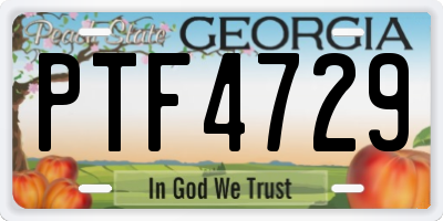 GA license plate PTF4729