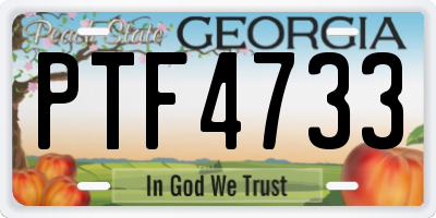 GA license plate PTF4733