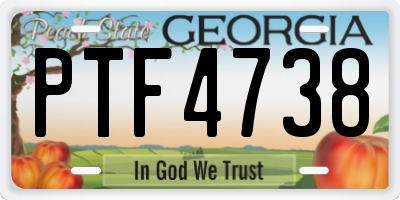 GA license plate PTF4738